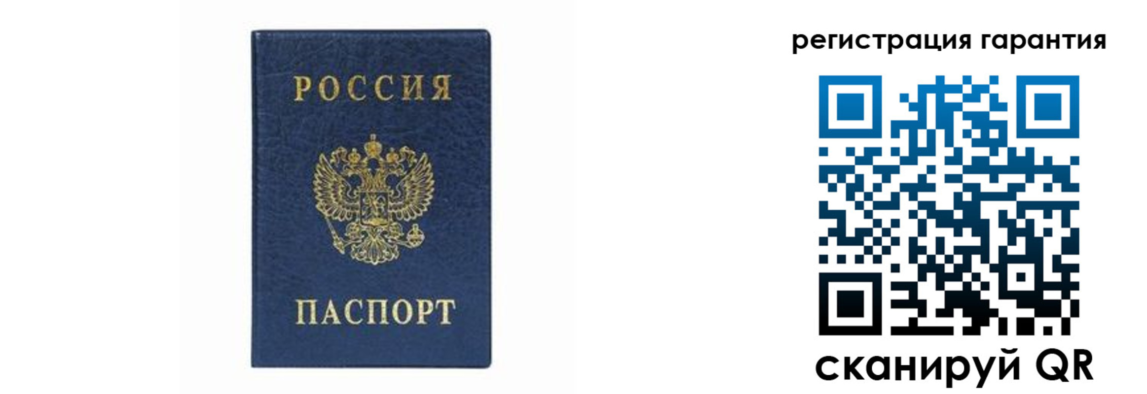 прописка регистрация в Курской области