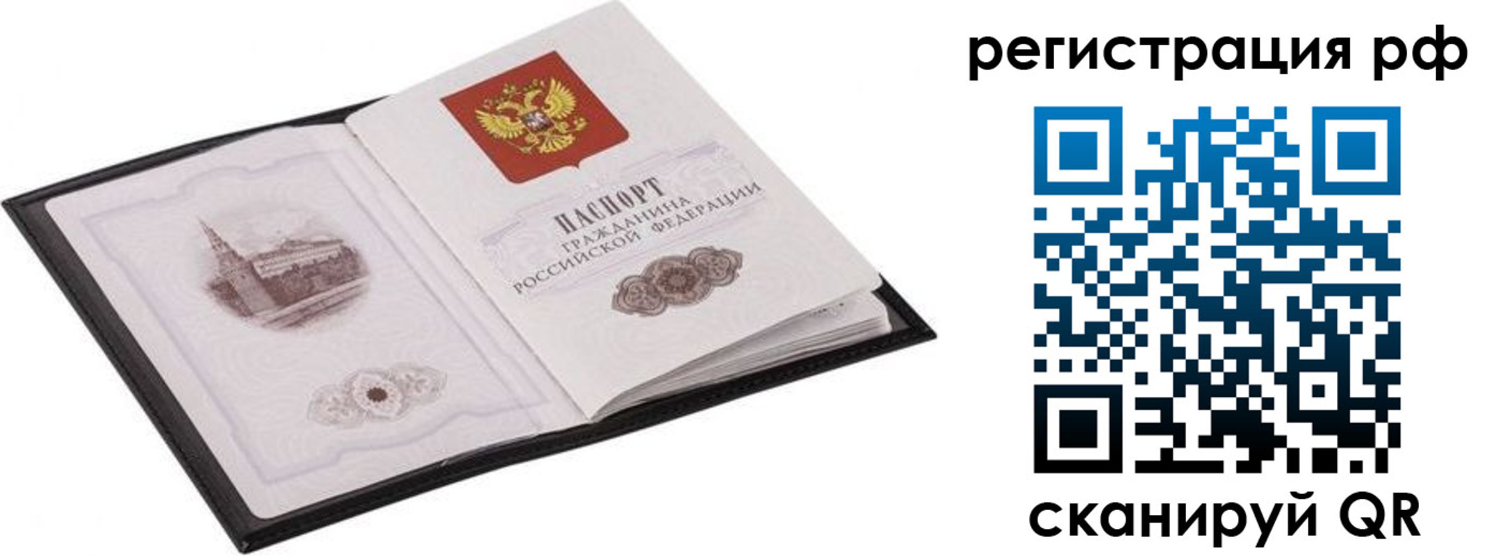 прописка ребенка в Курской области